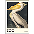 The Zoo Collection Pelican - 50x70 cm