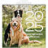 Billedkalender 2025 - hunde
