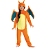 Pokémon Charizard kostume