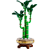 LEGO Botanicals Lykkebambus 10344