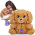 Baby paws labradoodle bamse 25 cm
