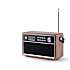 Prosonic DAB-600 radio - valnød