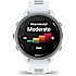 Garmin Forerunner 170 - Whitestone/Cloud Blue