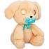 Baby paws labrador bamse 