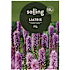 Salling blomsterløg Liatris