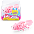 Pets Alive Swimming Axolotls – flere varianter - assorteret