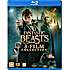 Blu-ray Fantastic Beasts 3
