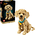 LEGO Icons Golden Retriever hvalp 11384