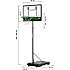 Salta basketball stander dribble