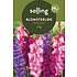 Salling blomsterløg Gladiolus