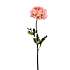 Ranunkel pink kunstig blomsterstilk