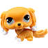 Littlest Pet Shop Pet Pal Spaniel kæledyr