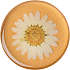 PopSockets Swappable PopGrip - Pressed Flower White Daisy
