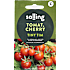 Salling cherrytomat Tiny Tim