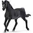 Schleich araberhingst 13981