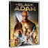 DVD Black Adam