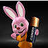 Duracell MN21 batterier 2-pak