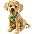 LEGO Icons Golden Retriever hvalp 11384