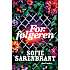Forfølgeren - Sofie Sarenbrant