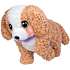 Little Live Pets Ouchies Poodle