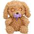 Baby paws labradoodle bamse 25 cm