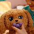 Baby paws labradoodle bamse 25 cm