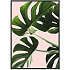 Monsteras in pink - 50x70 cm