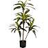 Kunstig plante - Dracaena