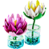 LEGO Botanicals Åkander 11511
