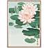 Water lilies, japansk - 70x100 cm