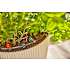 Gardena Micro-Drip vanding terrassesæt