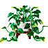 LEGO Botanicals Hængende guldranke 11512