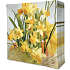 Windsor påskeservietter 33x33 cm 20-pak