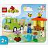 LEGO DUPLO By Pasning af bier og bistader 10419
