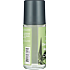 Roll-on deodorant m. aloe vera vegansk