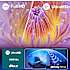 Philips 65" UHD TV 65PUS8000
