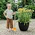Artstone Bola potte 55x45 cm - sort