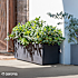 Millennium krukke 59x25x25 cm - antracit