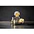 Boss Bottled Eau de Toilette