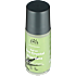 Crystal roll-on deodorant m. aloe vera