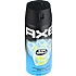 Irresistibly Fresh Non-Stop deospray