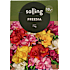 Salling blomsterløg Freesia