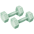 Active Sports Gear håndvægt Pro 2 kg - 2-pak