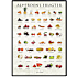 Alverdens frugter - 30x40 cm