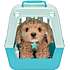 Little Live Pets Really Real Puppy Cavoodlen Curley