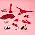 Sinful Women’s Pleasure Box