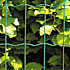 HORTUS havehegn PVC-fri, 5 x 10 cm, 200 cm x 25 m - grøn