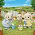 Sylvanian Families blomsterhavesæt
