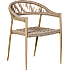 CARPI HAVESTOL - BEIGE