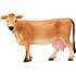Schleich jerseyko 13967